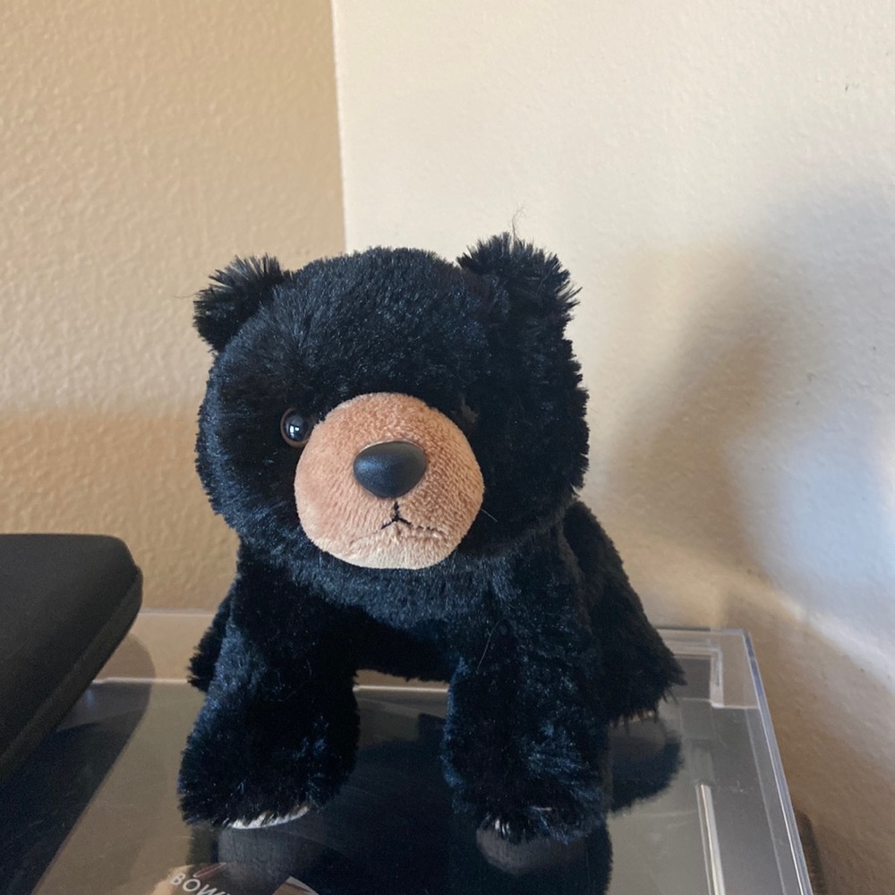 Small black destination nation bear